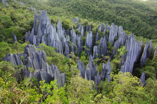 Asia Tours Gunung Mulu was Malaysia's first UNESCO World Heritage Site awarded in 2000.
